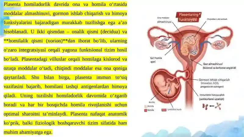 Plasenta, jigar va yuraklarning endokrin faoliyati 4