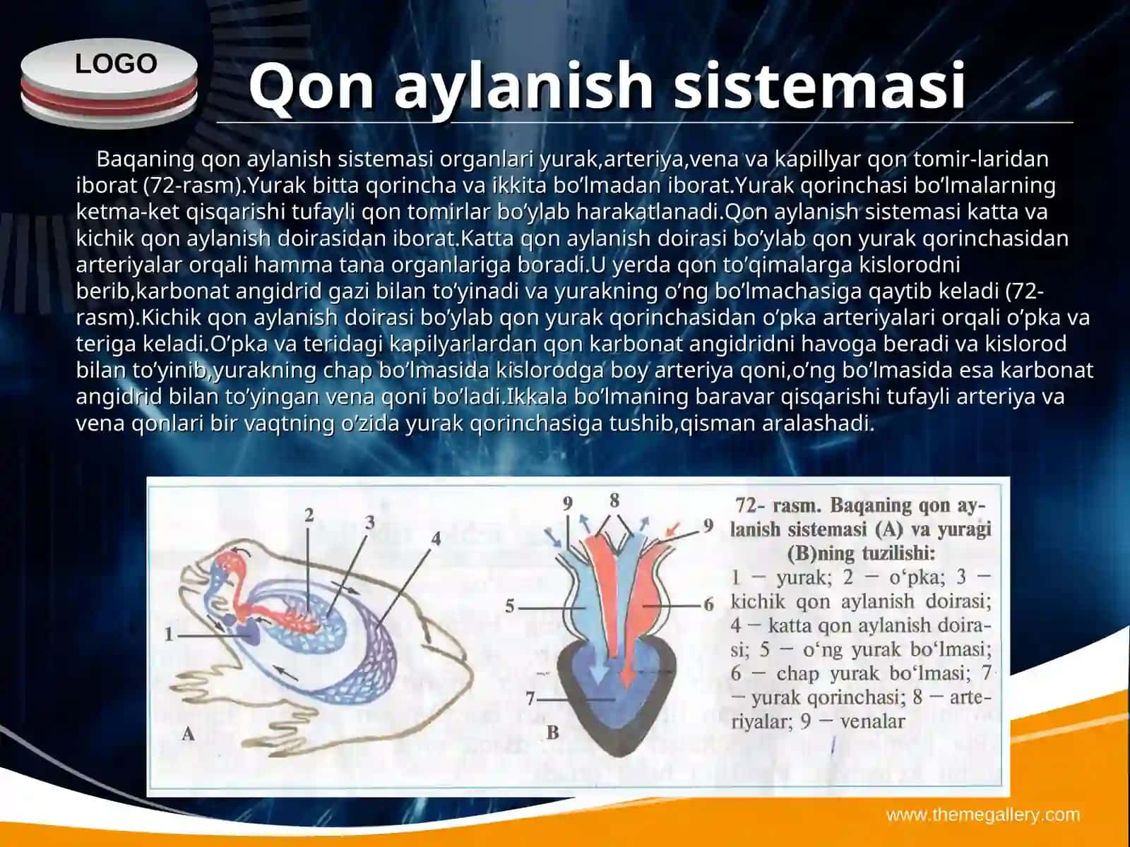 Baqaning hazm qilish organlari 4