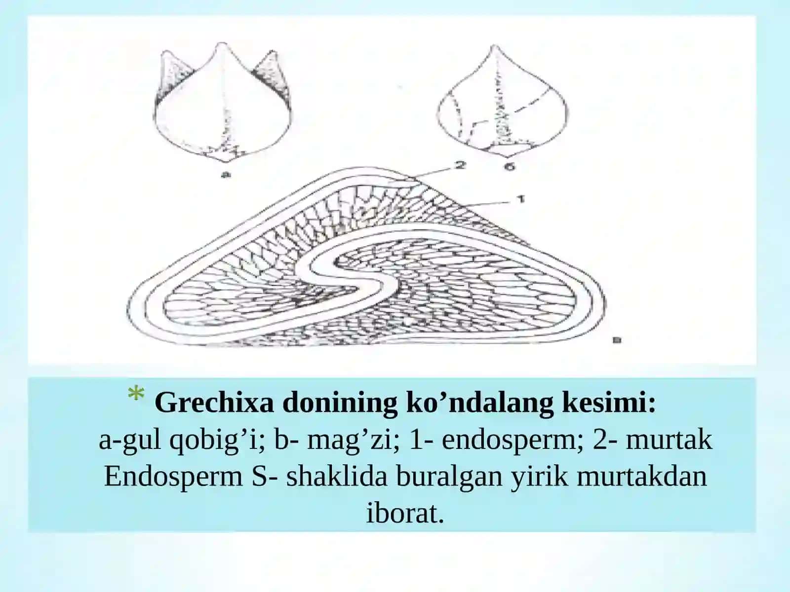 Yorma sanoatida foydalaniladigan xomashyolar 4