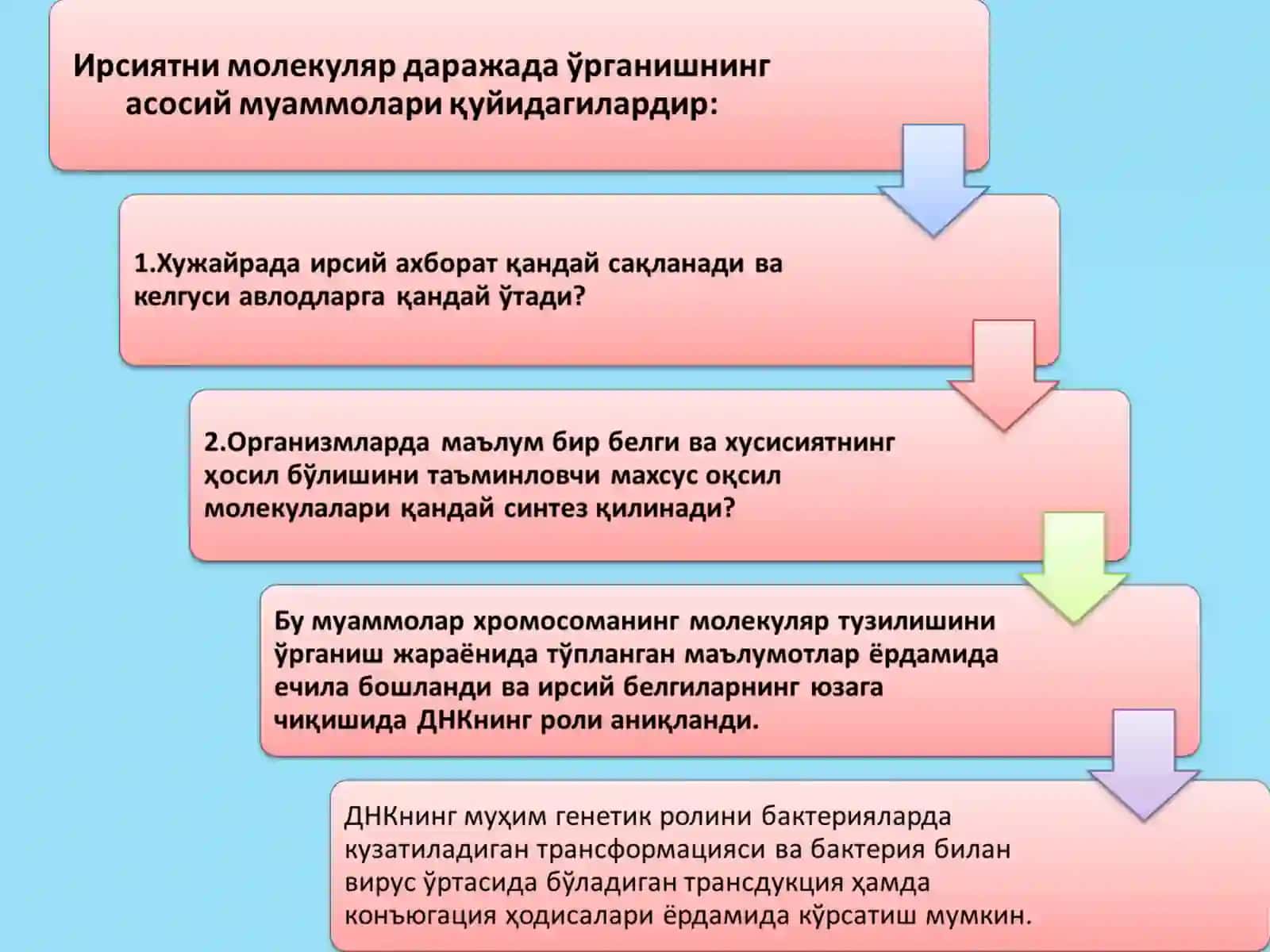 Молекуляр генетика 4