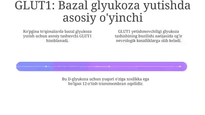 Glyukoza tashuvchilari 4