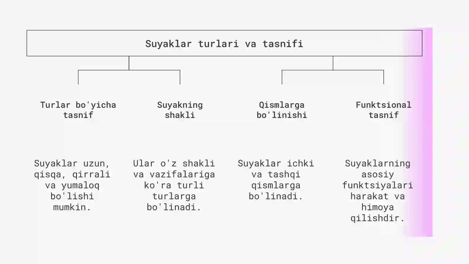 SUYAKLARNIG TURLARI VA VAZIFASI 4