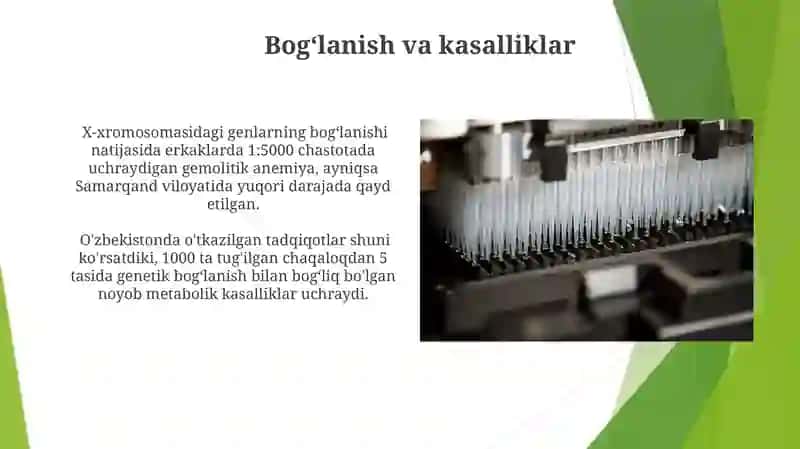 Genlarning birikkan holda irsiylanishi 4