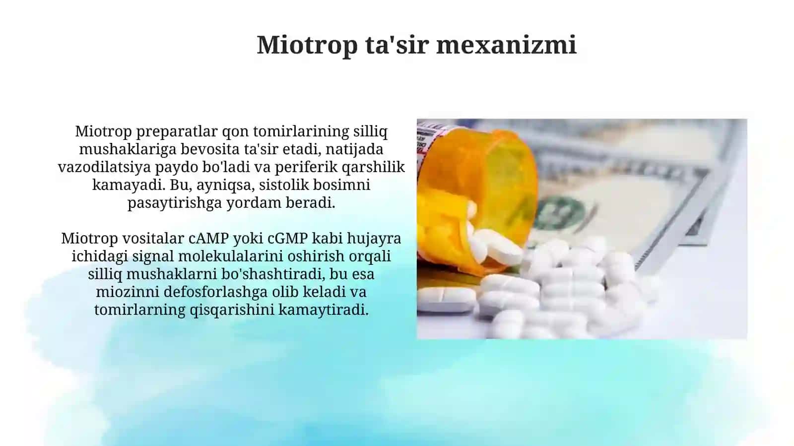 Gipotenziv dorivo sitalar farmakologiyasi 4