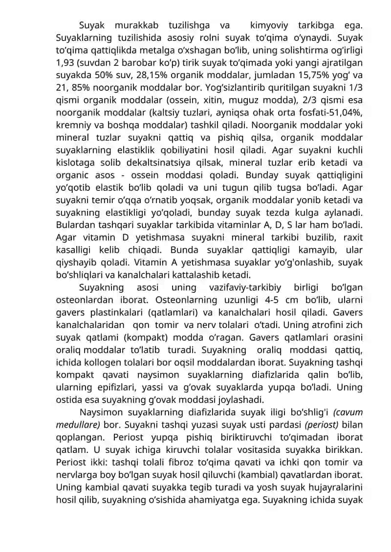 Ostiologiya 4