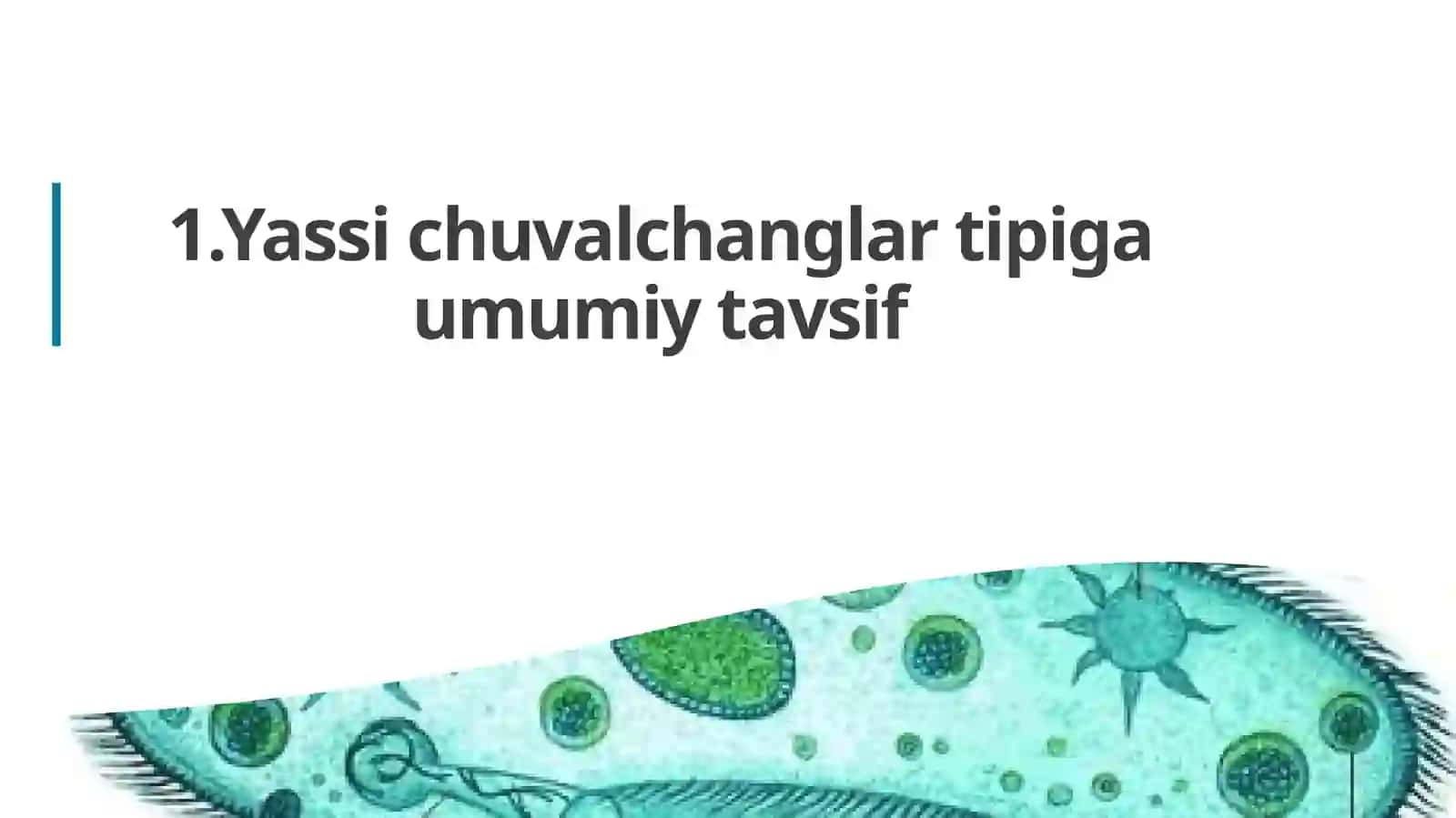 Bir hujayrali organizmlar 4
