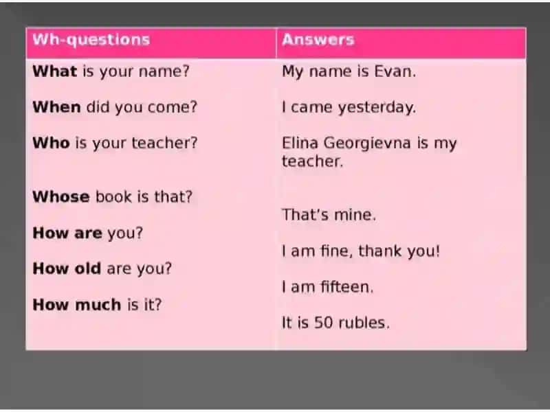 Yes/No Questions 4