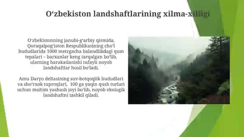 O'zbekistonda landshaftni shakllanishi 4