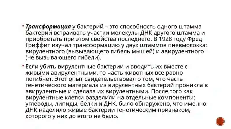 Экспрессия генов у прокариот иэукариот. Геннаяинженерия 4