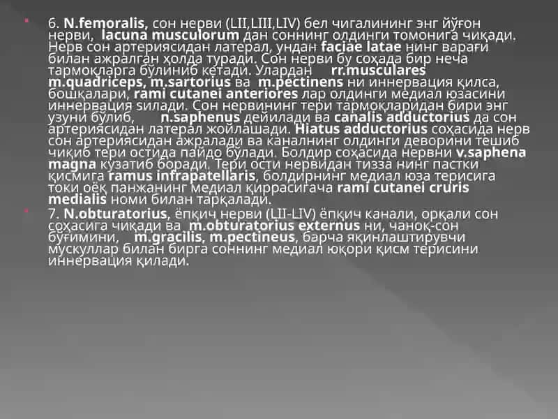 Бел-думгаза чигалининг функционал анатомияси 4