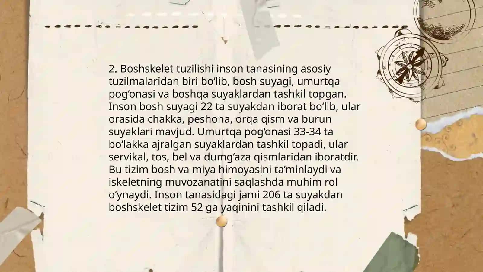 Odamskelet 4