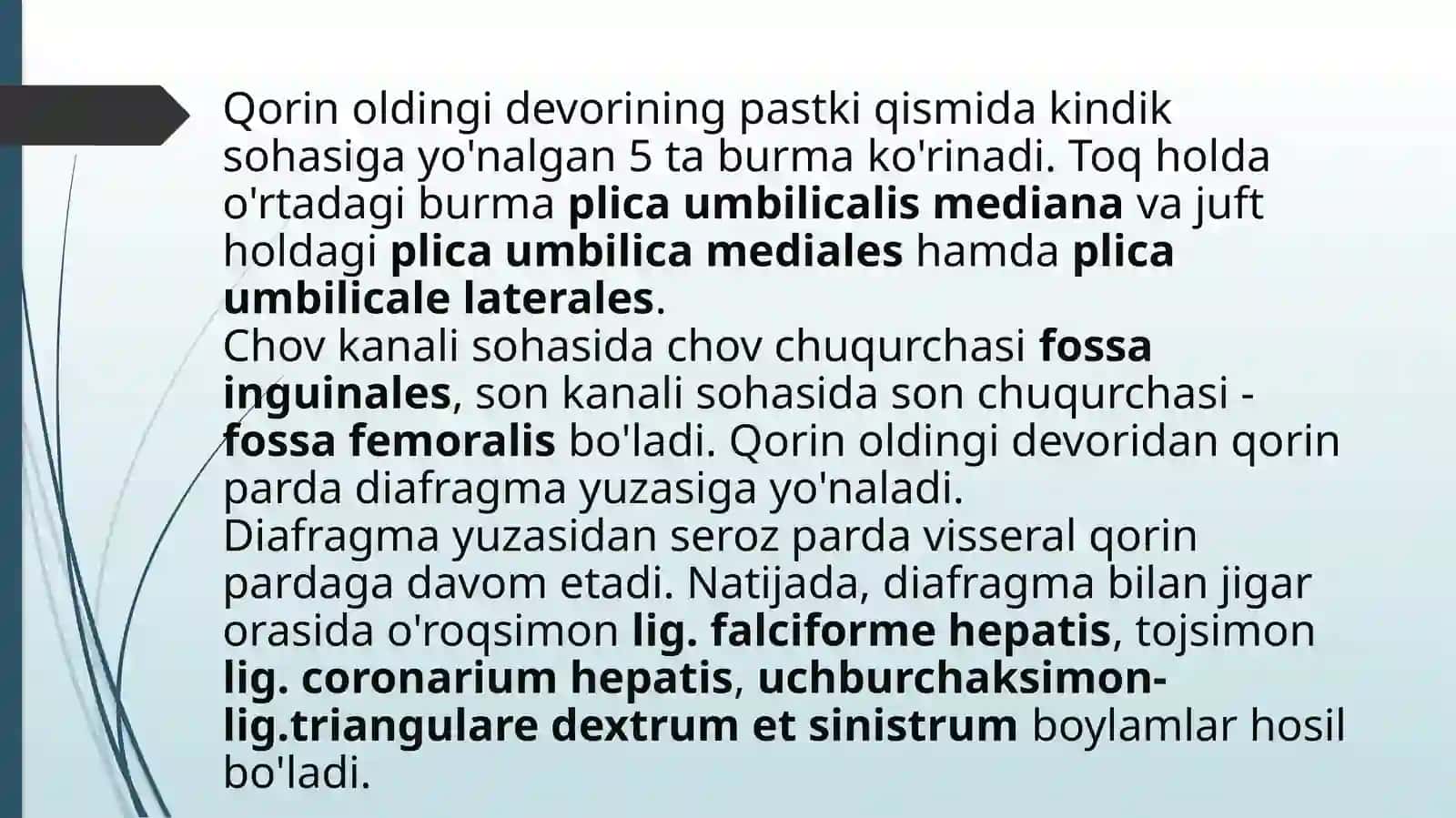 Qorin parda. Sinuslar, kanallar,qopchalar 4