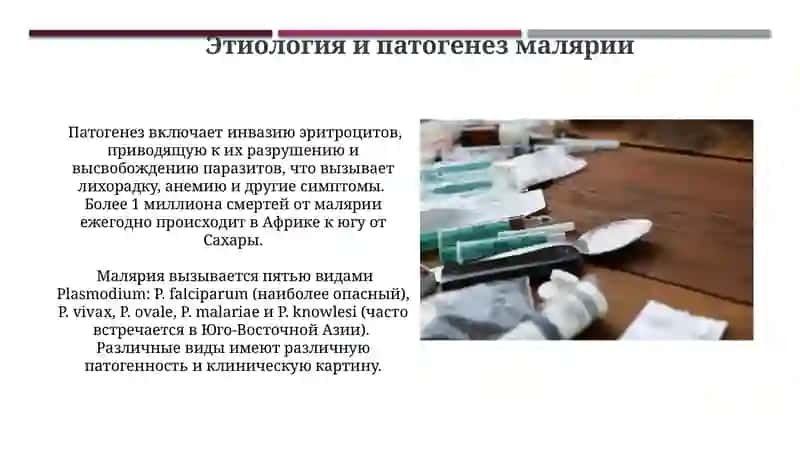 Принципы применения противомалярийных препаратов 4
