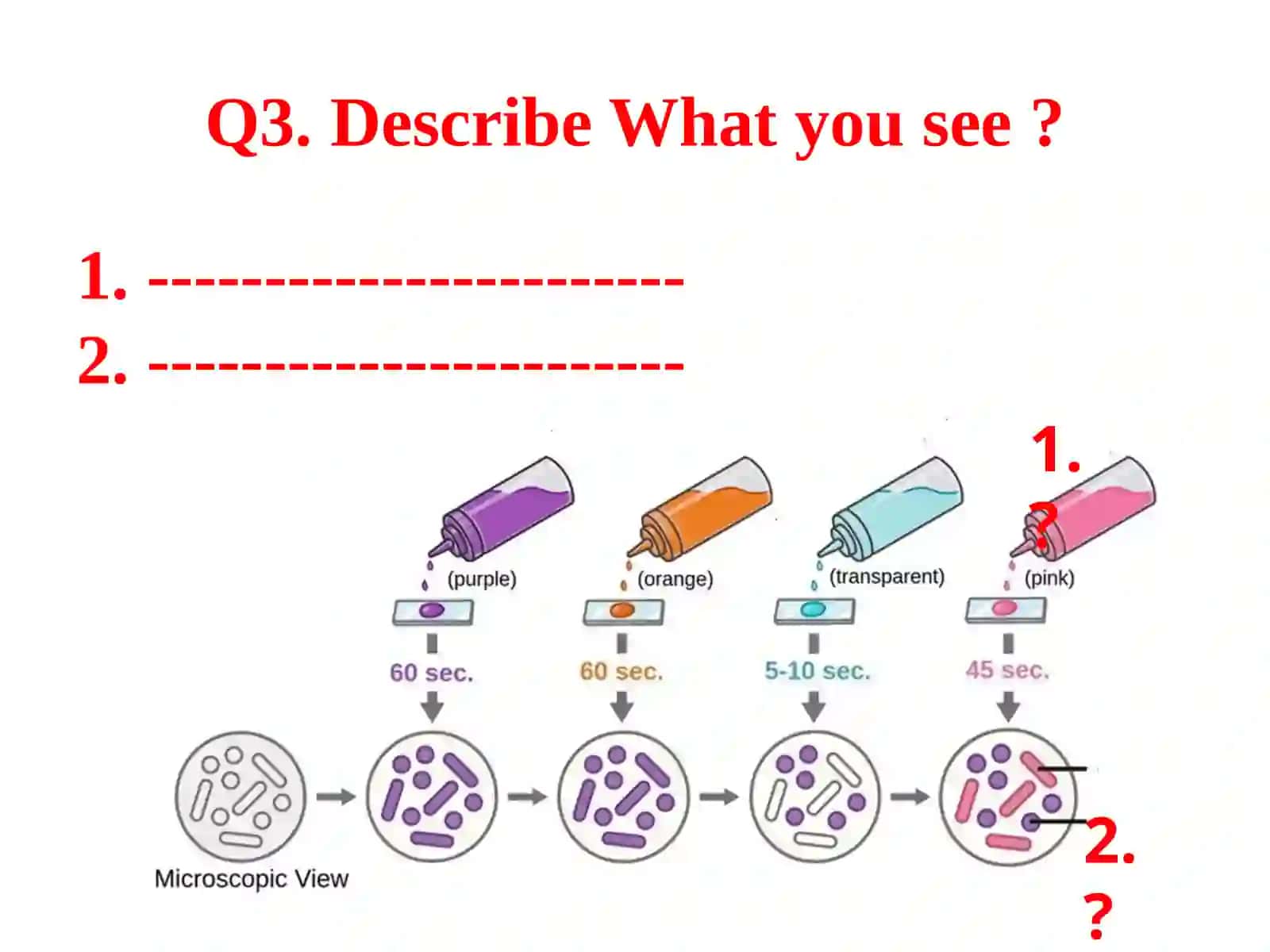 Medical Biology 4