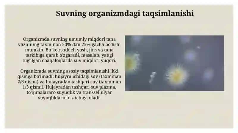 Organizmning suv-dispers sistemasi 4