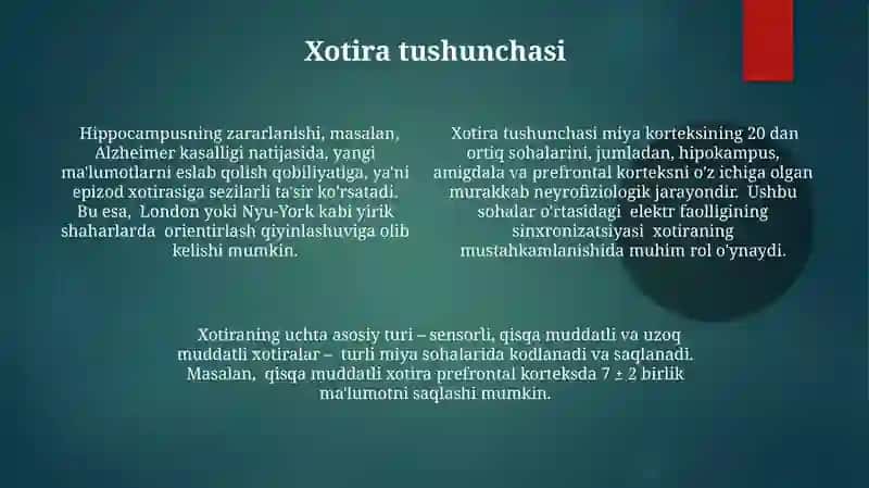 Xotira turlari va mexanizmlari 4