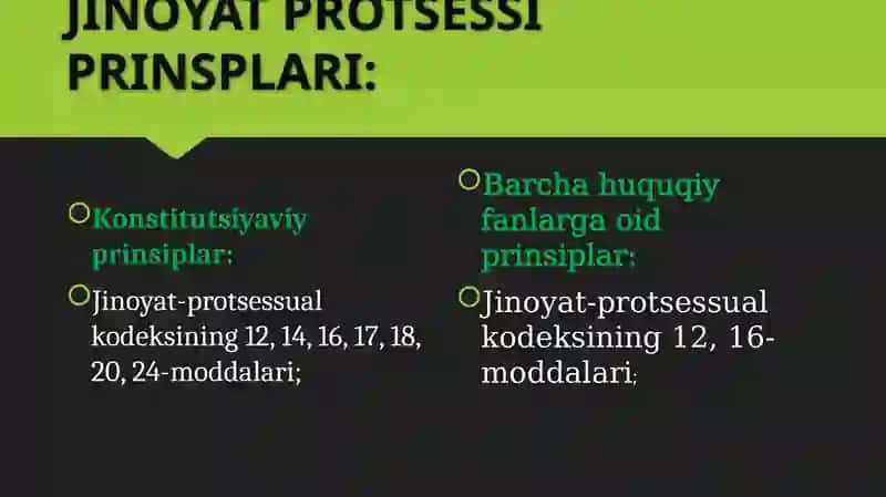 JINOYAT PROTSESSI PRINSPLARI 4