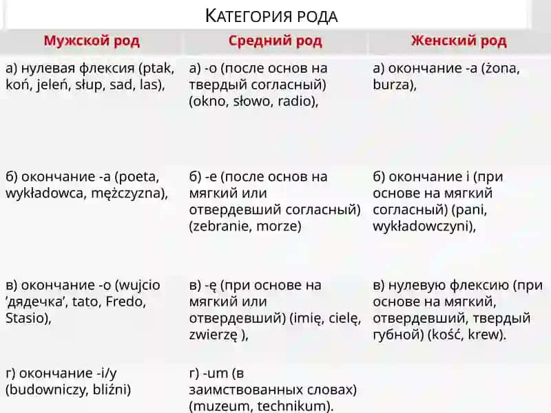 ПРЕЗЕНТАЦИЯ НА ТЕМУ: ПОЛЬСКИЙ ЯЗЫК 4