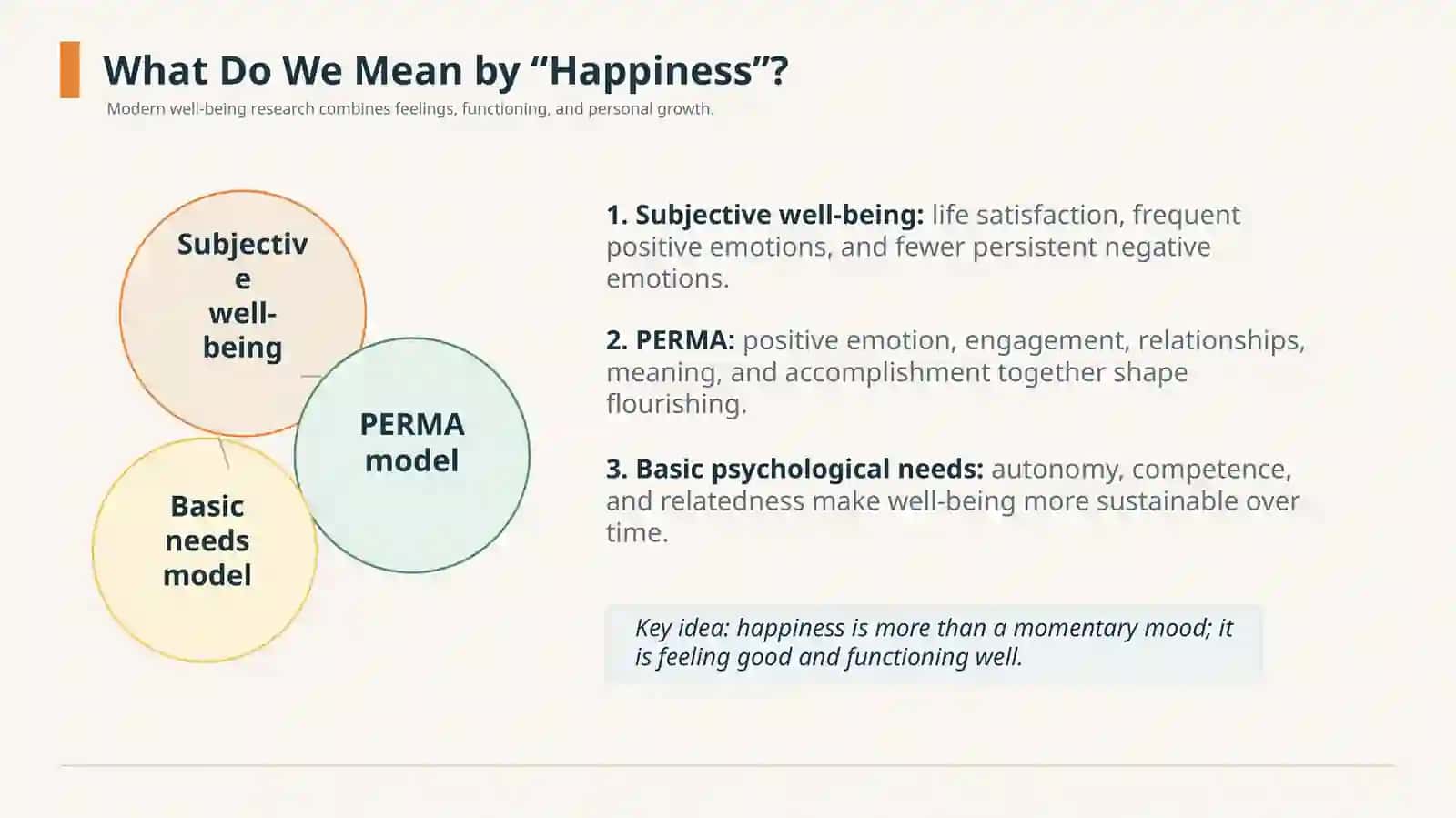 Understanding Happiness 4