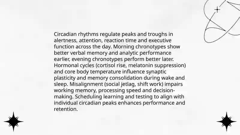 Circadian Rhythms and Productivity 4