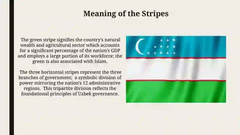 The flag of Uzbekistan 4