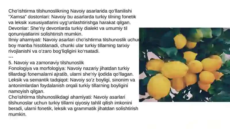 Alisher Navoiy vachoʼishtirmatilshunoslik 4