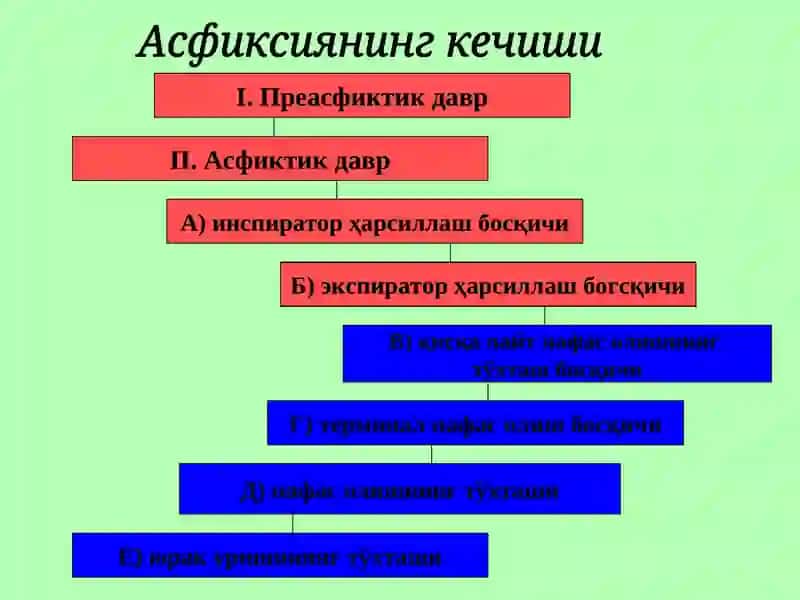 Асфиксия тушунчаси 4