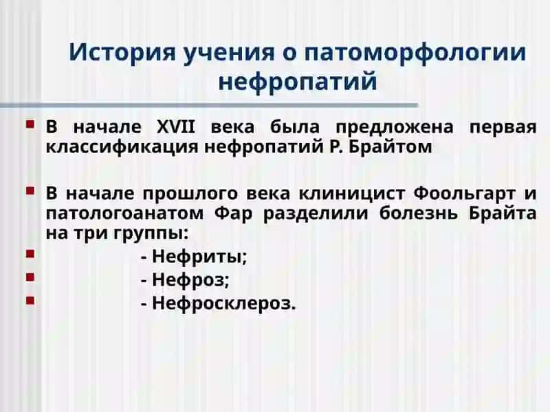 Патоморфология болезней почек 4