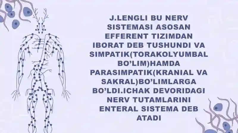 Vegetativ nerv sistemasi 4