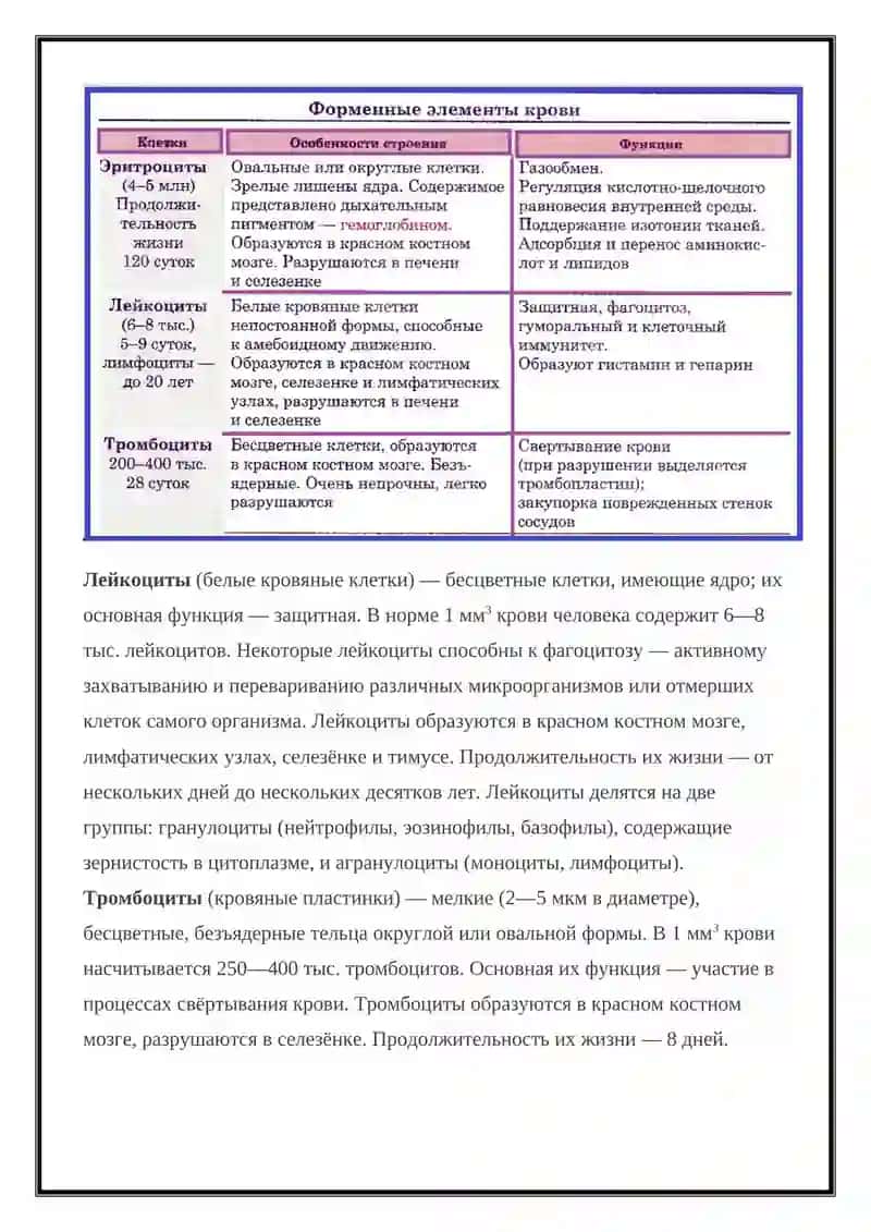 Внутренняя среда организма 4