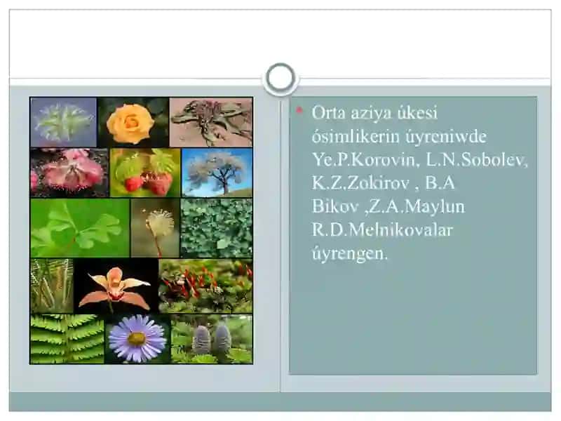Orta Aziya Faunasi 4