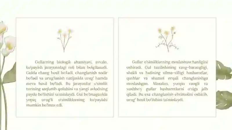 GULLARNING KELIB CHIQISHI VA TUZILISHI. 4