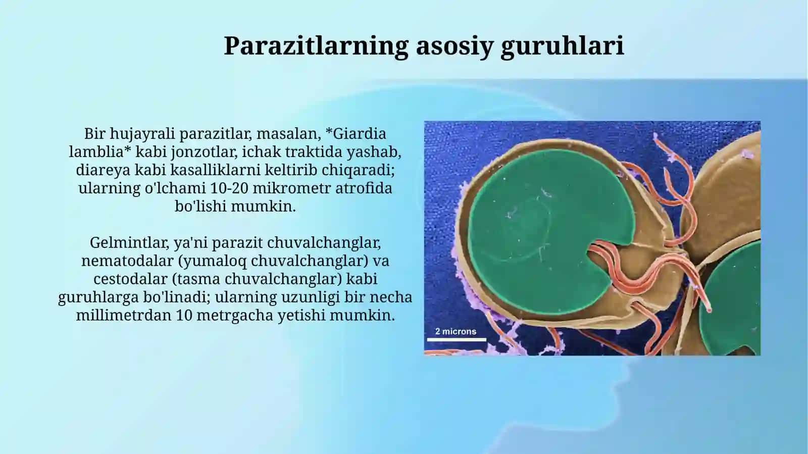 Parazitlar klassifikatsiyasi 4
