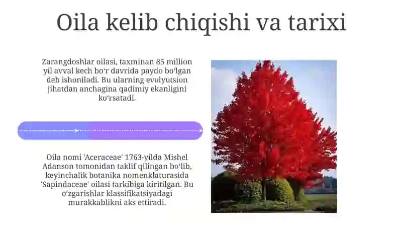 Zarangdoshlar oilasi 4