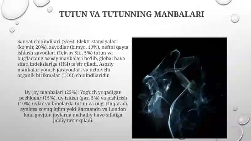 O'rmon va tutunli gazlar 4