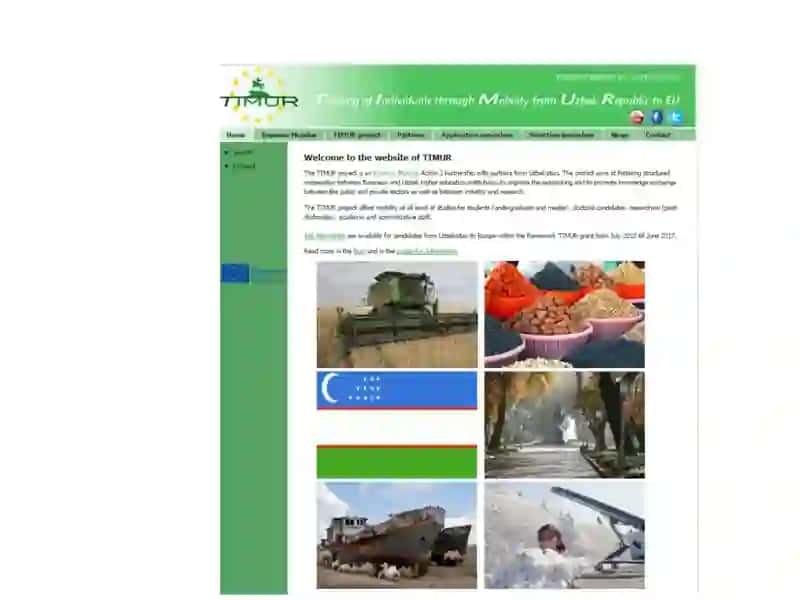 TIMUR Project 4