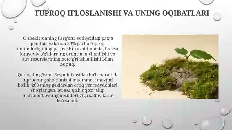 Tuproq muhofazasi 4
