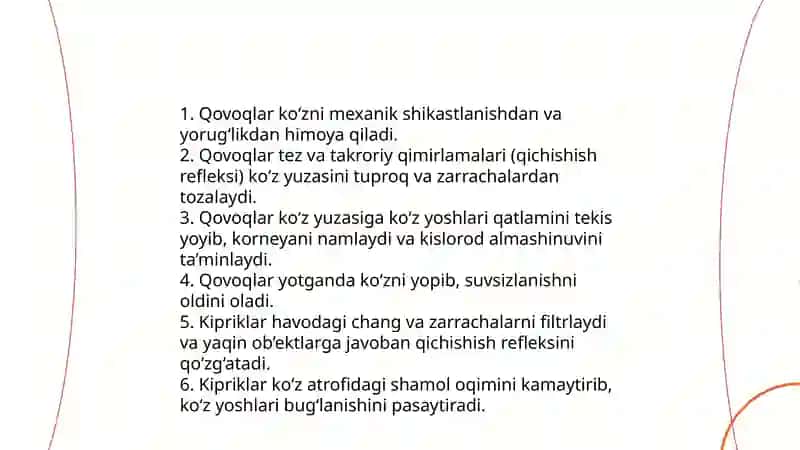 Ko'z anatomiyasi (tashqi va ichki tuzilish) 4