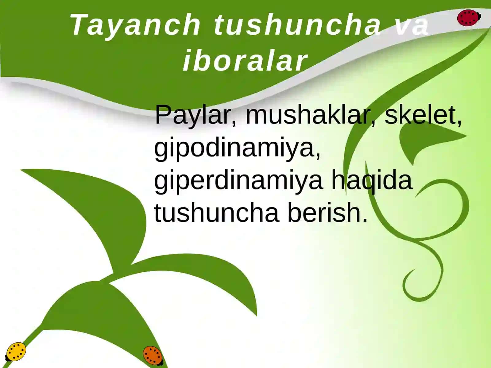 Tayanch harakat aparati 4