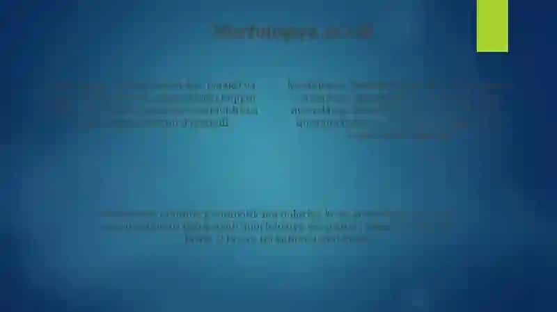 Morfologiya 4
