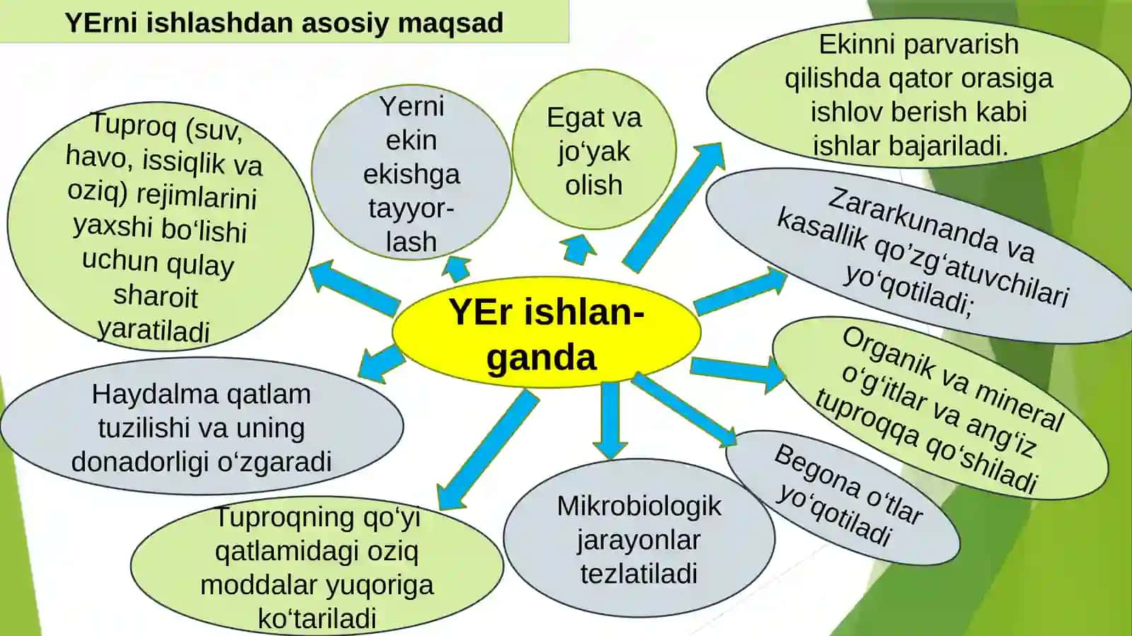 Organik dehqonchilik va o'rmon melioratsiya 4