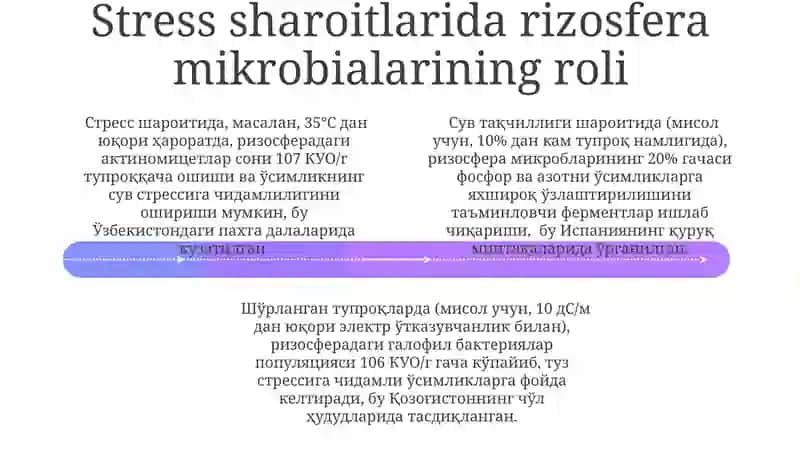Rizosfera mikroflorasini aniqlash 4