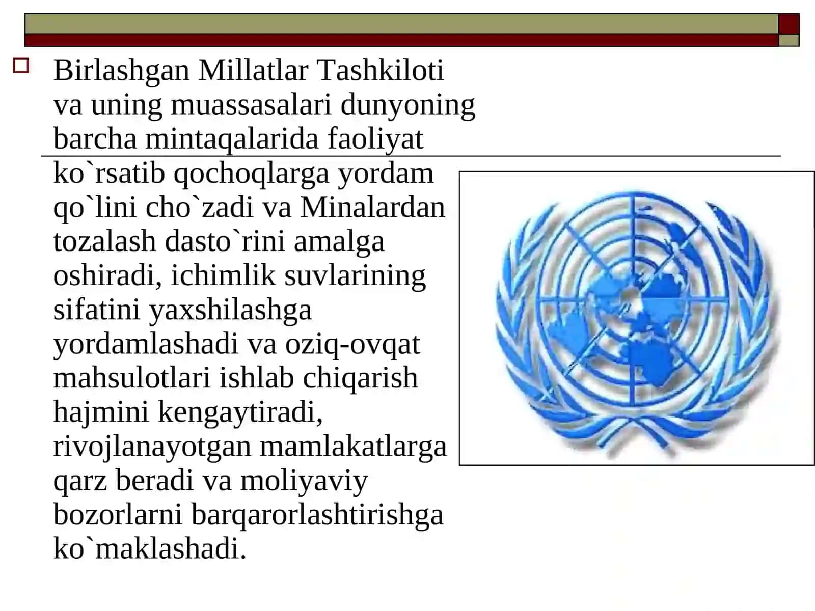 Birlashgan Millatlar Tashkiloti 4