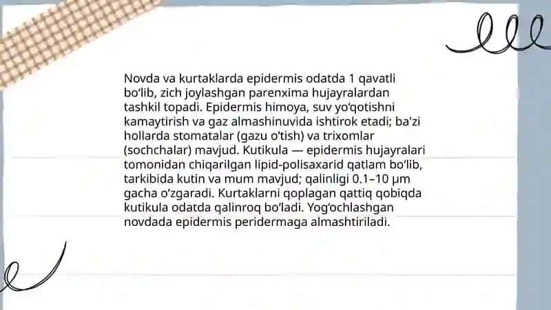Novda va kurtaklarning tuzilishi 4