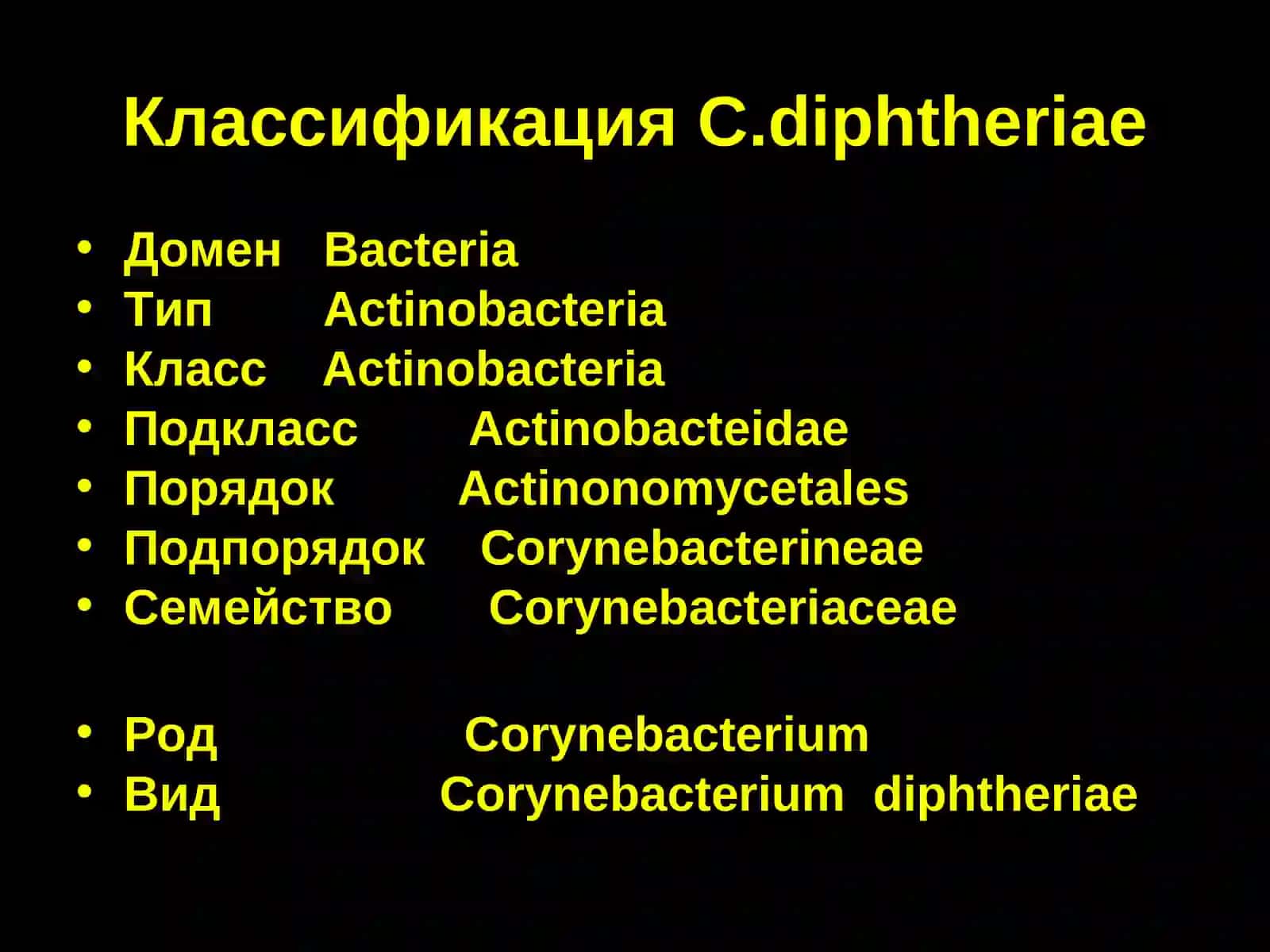Микробиология дифтерии 4