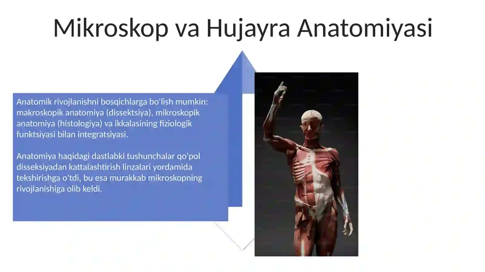 Sud-tibbiy anatomiya 4