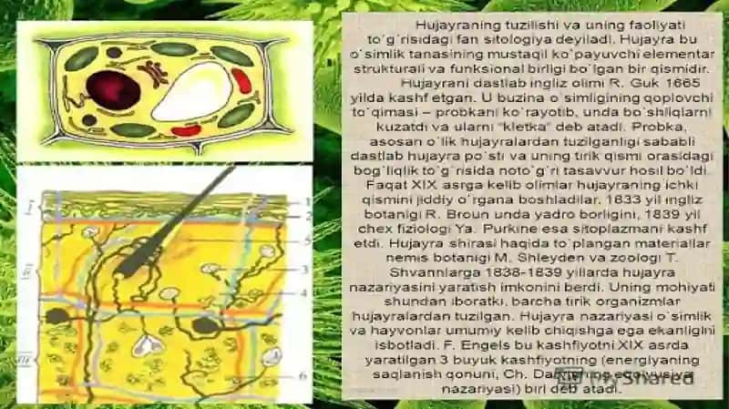 HUJAYRA HAQIDA MA'LUMOT 4