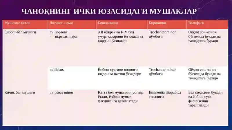 Чаноқ, сон, болдир ва товон мушаклари 4