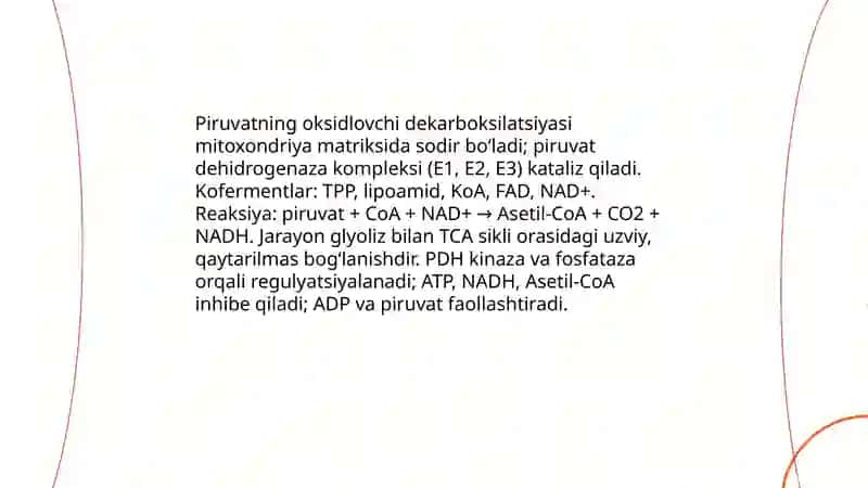 Katabolizimning umumiy yollari 4