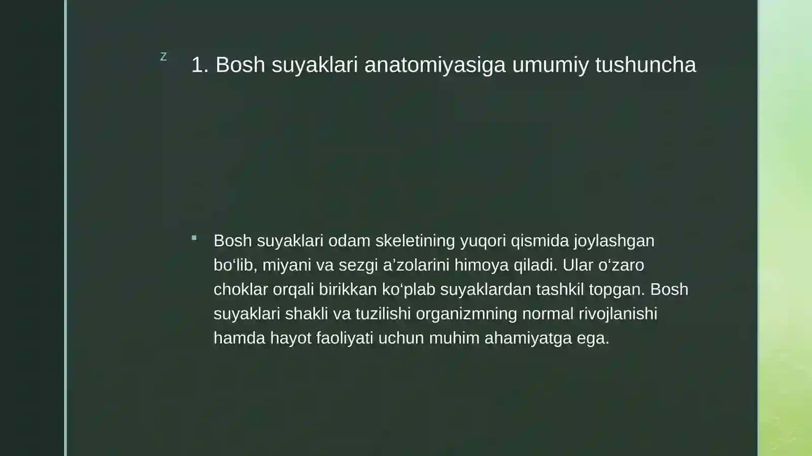 Bosh suyaklari anatomiyasi 4